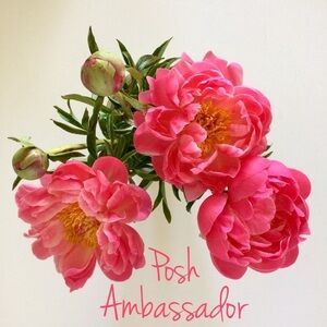 I'm a Posh Ambassador